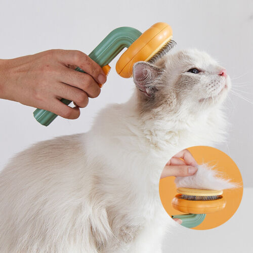 Pet Supplies