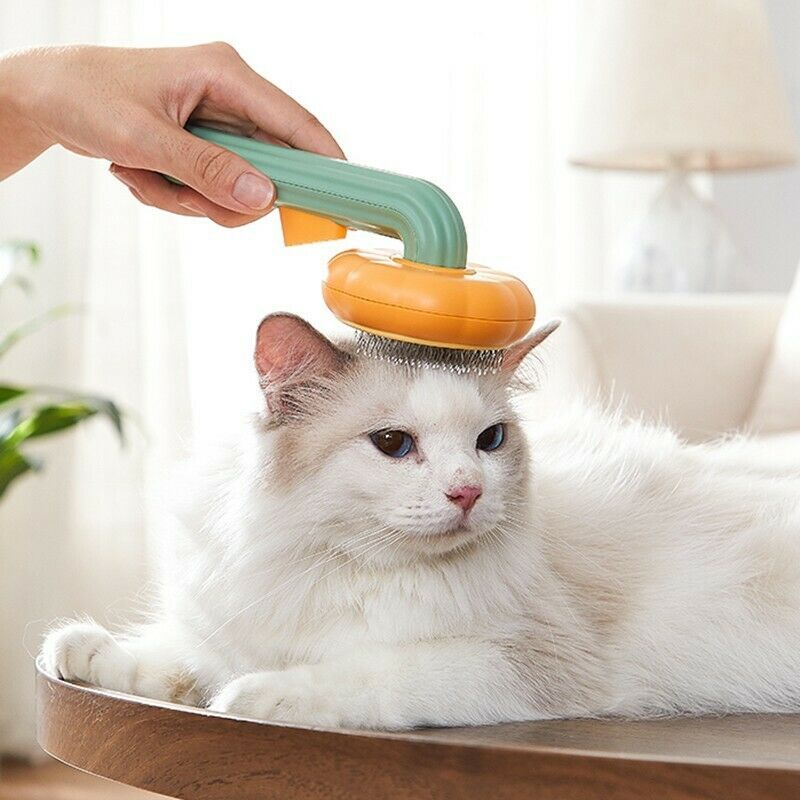 PawPump Brush