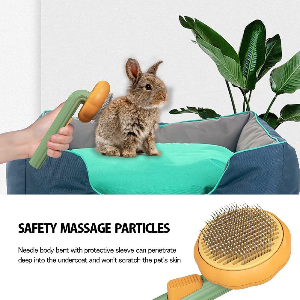 PawPump Brush